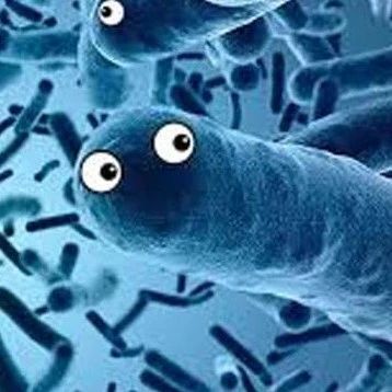疯狂的微生物（一）  科研热土、资本战场