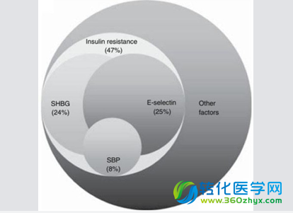 出生体重值低是患糖尿病的危险因素