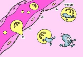 曹雪涛团队揭示抗病毒免疫应答新型表观遗传机制