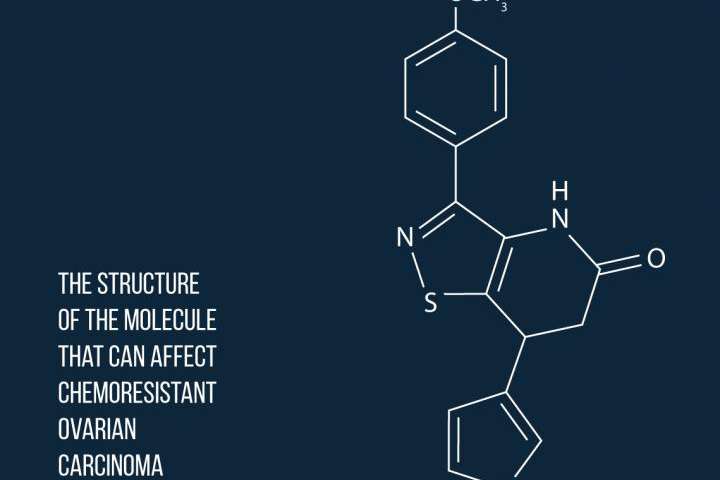 科学家合成了抗化疗耐药性癌症的新药物