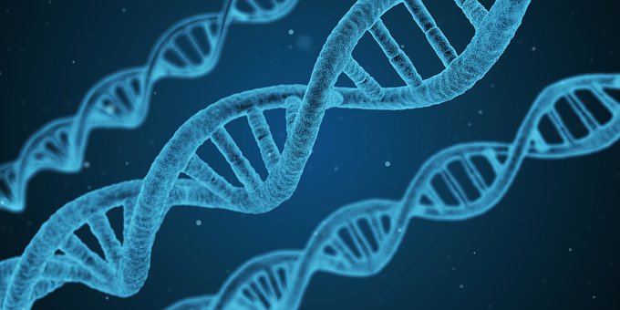 非编码RNA出人意料的新才能