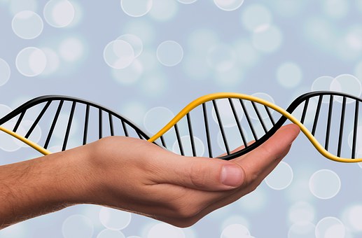 Nature发表T细胞基因编辑新方法