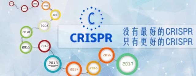新型基因编辑技术“PNAs”与“CRISPR”一决高下