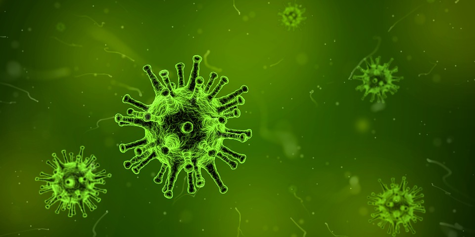 抑制血栓形成:一种靶向肠道微生物的全新疗法