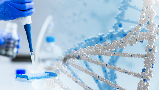 等温扩增Bst 2.0、Bst DNA/RNA聚合酶