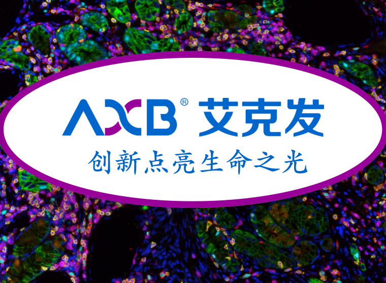  多色免疫荧光（mIF/mIHC）技术平台